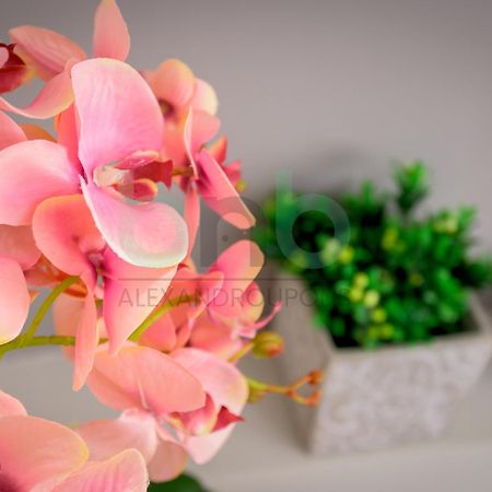 The Floral Suite アレクサンドルポリス エクステリア 写真