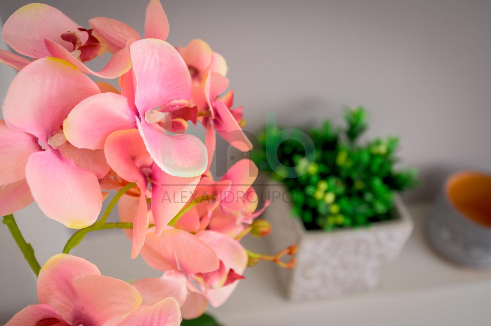 The Floral Suite アレクサンドルポリス エクステリア 写真