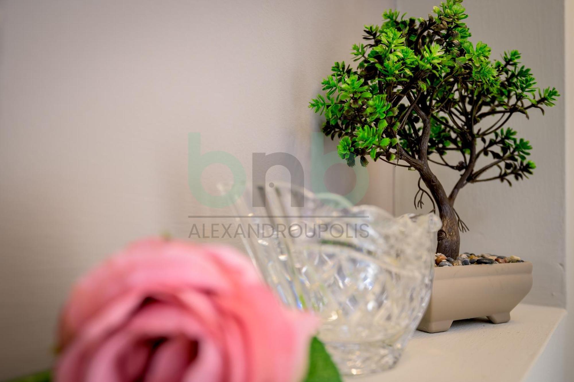 The Floral Suite アレクサンドルポリス エクステリア 写真