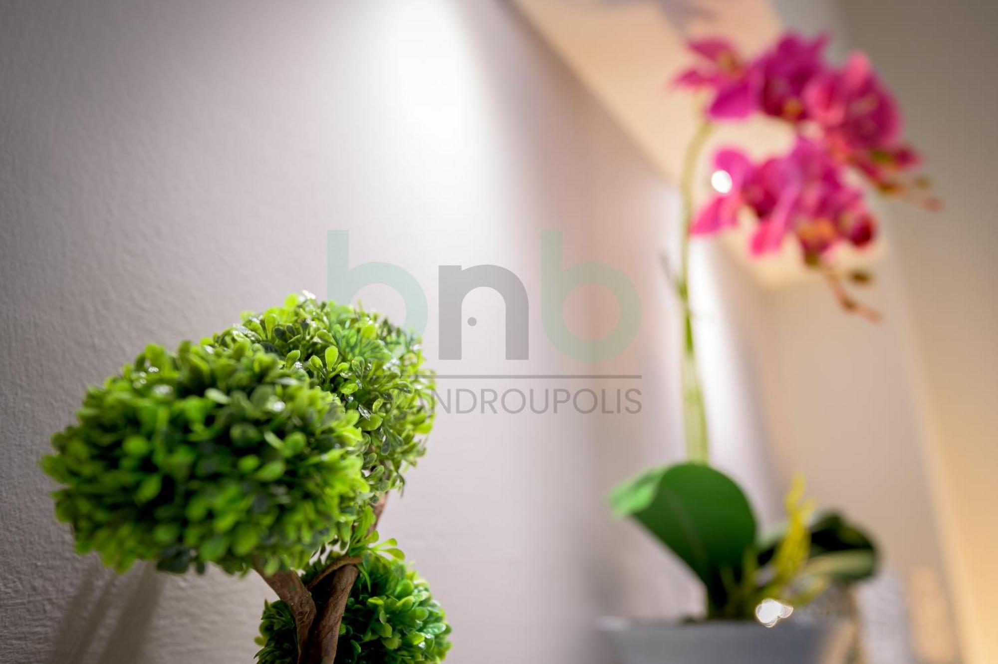 The Floral Suite アレクサンドルポリス エクステリア 写真